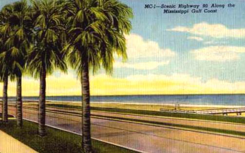 Palms along the Mississippi coast