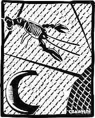 Crawfish - A Print by Louisiana artist John Preble