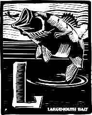 Largemouth Bass - A Print by Louisiana artist John Preble
