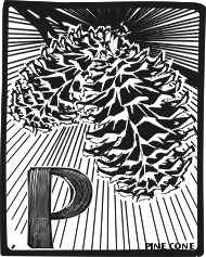 Pinecone - A Print by Louisiana artist John Preble