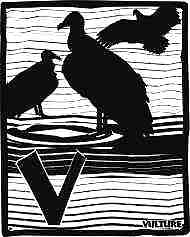 Vulture - A Print by Louisiana artist John Preble